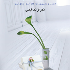 نیست-جفاسزای-منفرانک-فیضی