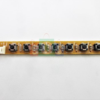 برد-چشمی-مارشال-4228