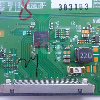 برد-تیکان-سونیا-5590