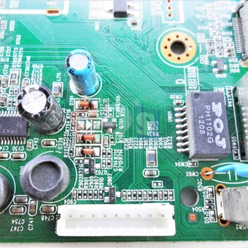 برد-مین-مارشال-4228