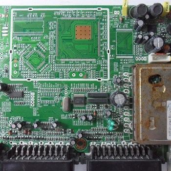 برد-مین-چینی