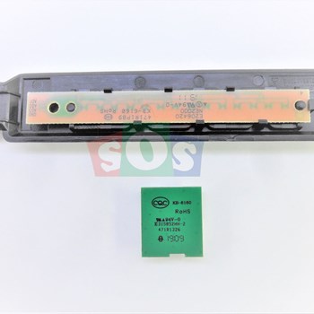 برد-چشمی-سونیا-4398