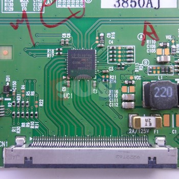 برد-تیکان-اکسنت-4919