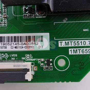 برد-مین-اکسنت-4919