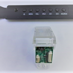 برد-چشمی-سونیا-5590