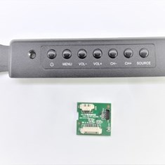 برد-چشمی-سونیا-4398