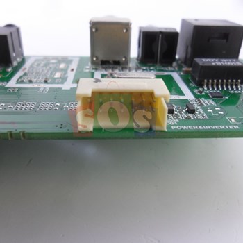 برد-مین-اکسنت-4919