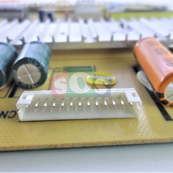 برد-پاور-مارشال-4218