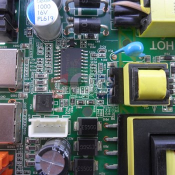 برد-مین-سونیا-5590