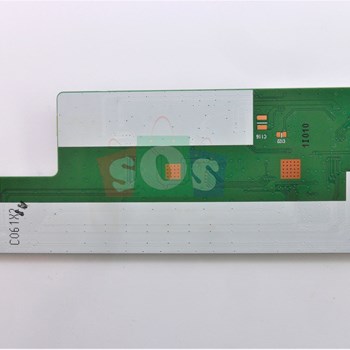 برد-تیکان-مارشال-4315