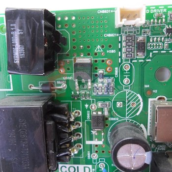 برد-مین-سونیا-43CD4025