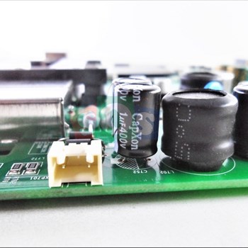 برد-مین-هایسنس-55A7120