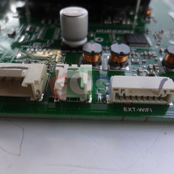 برد-مین-اکسنت-4919