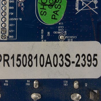 برد-مین-گوسونیک-4443