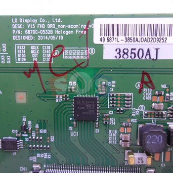 برد-تیکان-اکسنت-4919