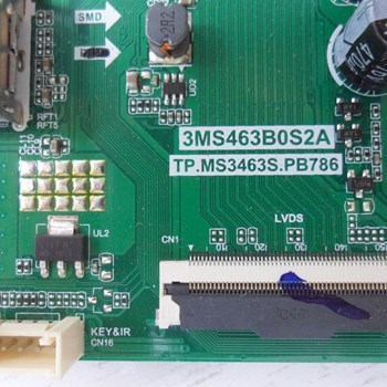 برد-مین-ایوولی-43EV100