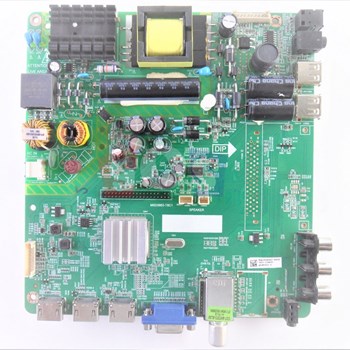 برد-مین-اکسون-4383