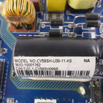 برد-مین-گوسونیک-4443