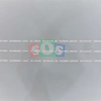 بک-لایت-اکسنت-4919