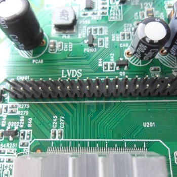 مین-برد-سونیا-4398