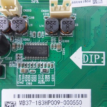 مین-برد-سونیا-4398