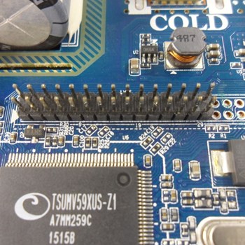 برد-مین-گوسونیک-4443