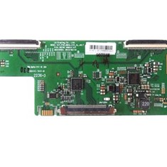 برد-تیکان-سونیا-43DF6520