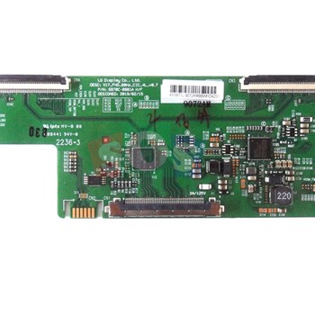 برد-تیکان-سونیا-43DF6520