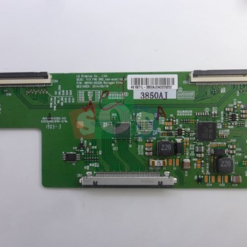 برد-تیکان-اکسنت-4919