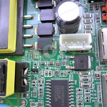 برد-مین-سونیا-5588