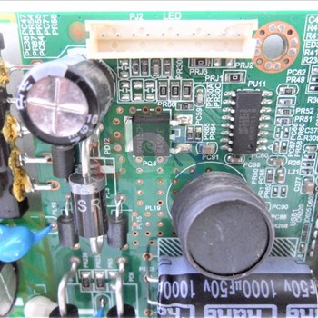 برد-مین-اکسون-4383