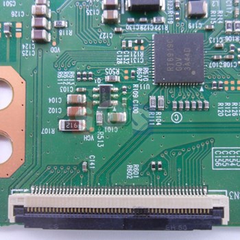 برد-تیکان-سونیا-5588