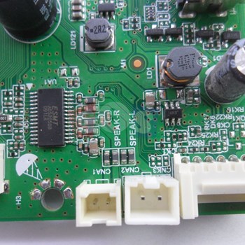 برد-مین-سونیا-43CD4025