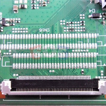 برد-مین-وستل-43FD5000