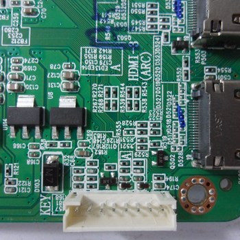 مین-برد-سونیا-4398