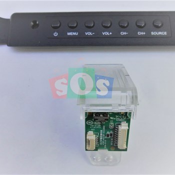 برد-چشمی-سونیا-5590