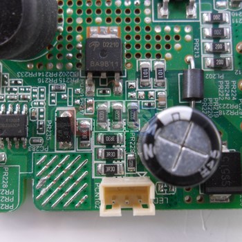 برد-مین-سونیا-43KD4121