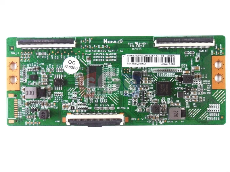 برد-تیکان-سونیا-55KD7956