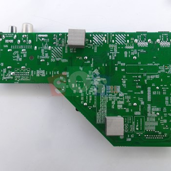 برد-مین-اکسنت-4919