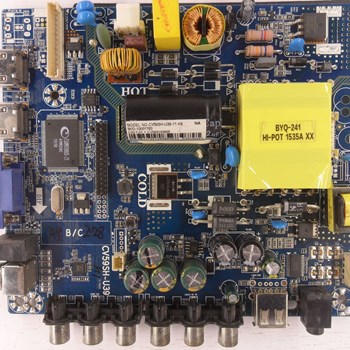 برد-مین-گوسونیک-4443