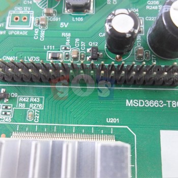 برد-مین-اکسون-4383