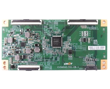 برد-تیکان-سونیا-58KD7965