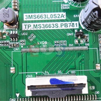 برد-مین-ایوولی-32EV100