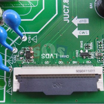 برد-مین-سونیا-43CD4025