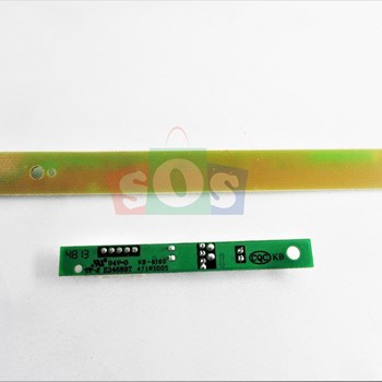 برد-چشمی-مارشال-4230