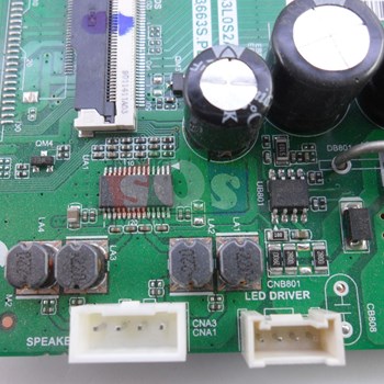 برد-مین-ایوولی-43EV100