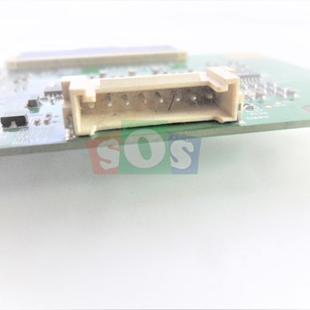 برد-تیکان-سییرا-43101