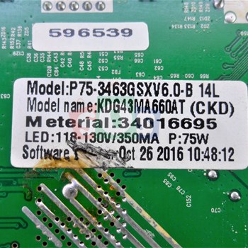 برد-مین-ایکس-ویژن-43-K550