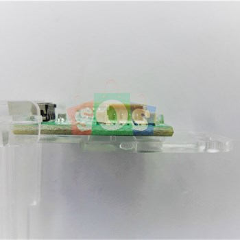 برد-چشمی-سونیا-5590