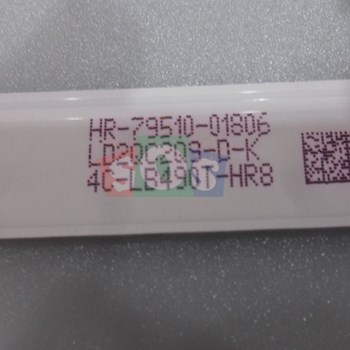 بک-لایت-اکسنت-4919